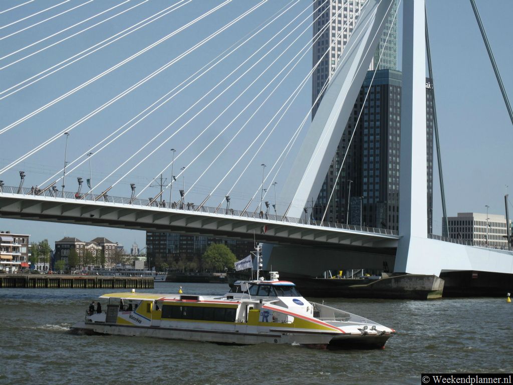 De Waterboot vaart eerst onder de Erasmusbrug door en u passeert het Noordereiland en vaart langs de Maasboulevard. Tip: De veerboot tussen Rotterdam en Dordrecht.